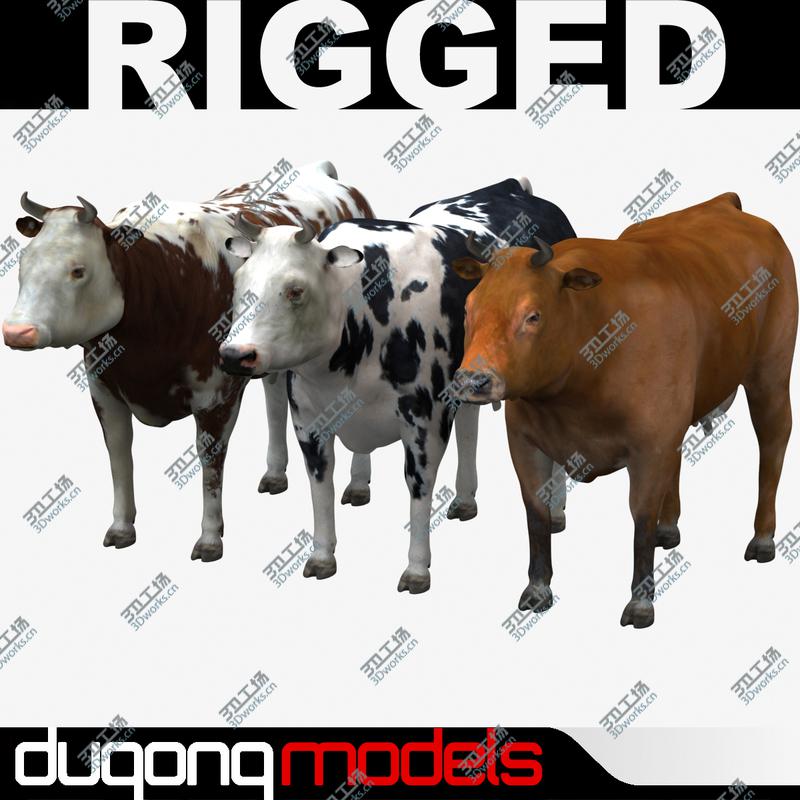 images/goods_img/202105074/Cow Collection/1.jpg
